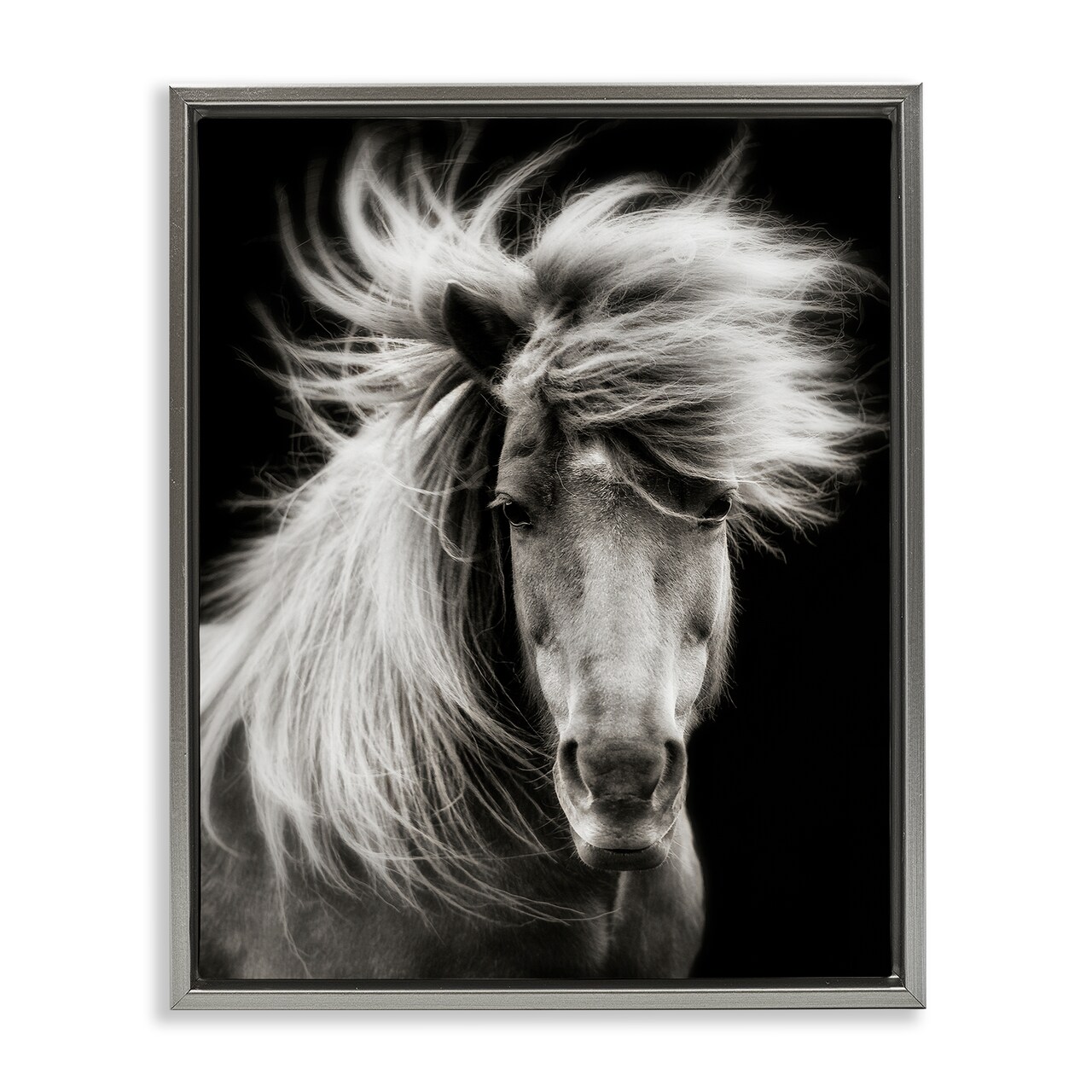 Stupell Industries Windblown Mane Horse on Black Floating Frame By PHBurchett